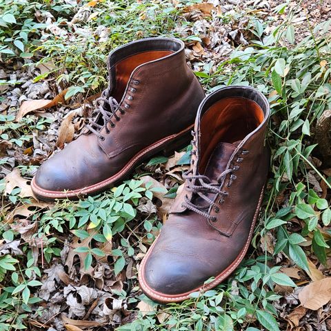 View photo of Alden Plain Toe Boot in Horween Tobacco Smooth Chamois