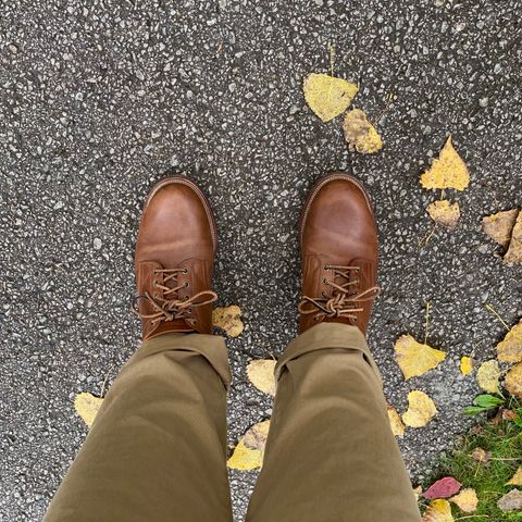 Viberg 145 Oxford in Horween Natural Essex Workshoe Butt