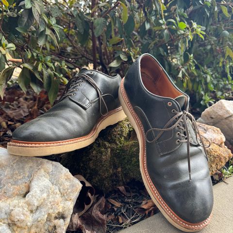 View photo of Viberg Derby Shoe in C.F. Stead Military Green Waxed Kudu