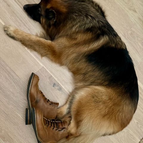 View photo of Truman Moc Toe in British Tan Grizzly