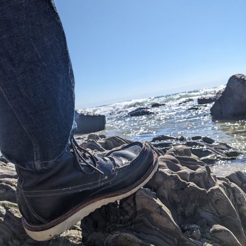 Grant Stone Field Boot in Horween Black Chromexcel