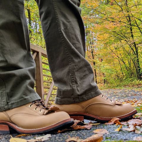 Nicks Lace To Toe in Seidel 1964 Tan