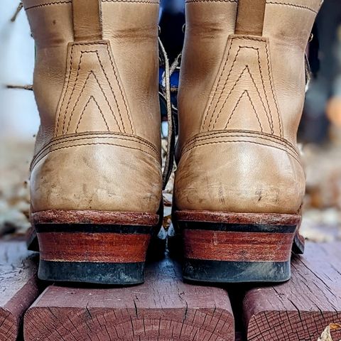 Nicks Lace To Toe in Seidel 1964 Tan