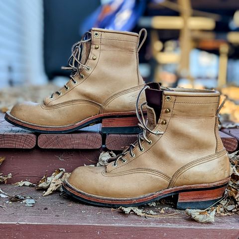 Nicks Lace To Toe in Seidel 1964 Tan