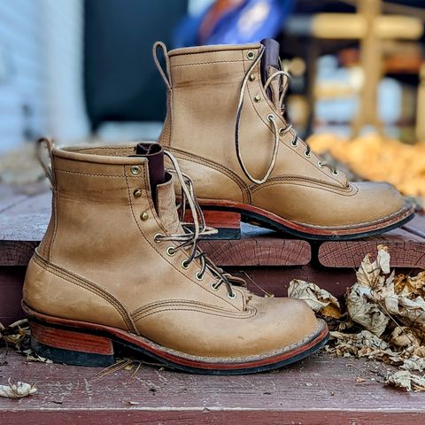 Nicks Lace To Toe in Seidel 1964 Tan