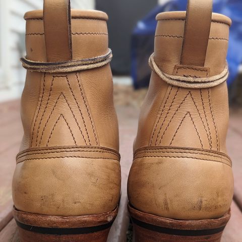 Nicks Lace To Toe in Seidel 1964 Tan