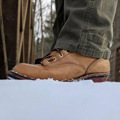 Nicks Lace To Toe in Seidel 1964 Tan