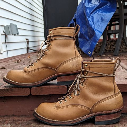 Nicks Lace To Toe in Seidel 1964 Tan
