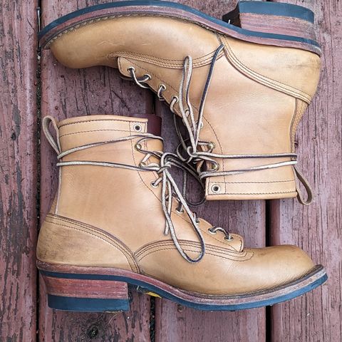 Nicks Lace To Toe in Seidel 1964 Tan