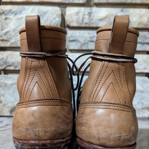 Nicks Lace To Toe in Seidel 1964 Tan