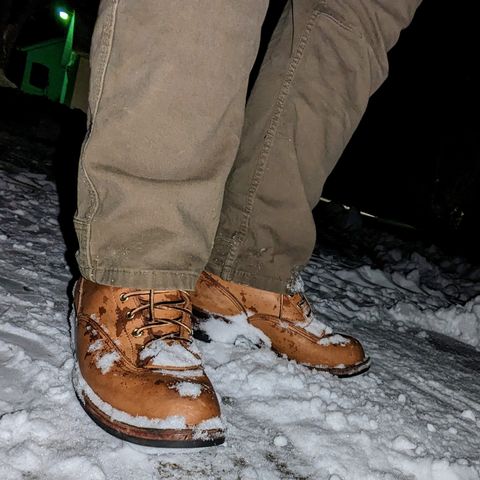 Nicks Lace To Toe in Seidel 1964 Tan