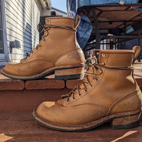 Nicks Lace To Toe in Seidel 1964 Tan