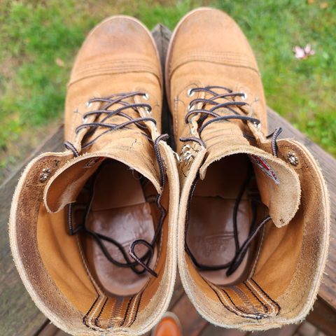 Red Wing Iron Ranger in S.B. Foot Hawthorne Muleskinner