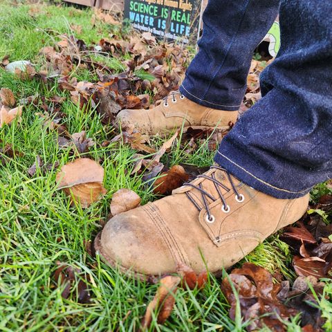 Red Wing Iron Ranger in S.B. Foot Hawthorne Muleskinner