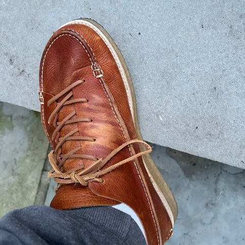 Yogi Footwear Finn 3 in Chestnut Brown
