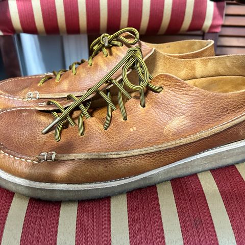 Yogi Footwear Finn 3 in Chestnut Brown