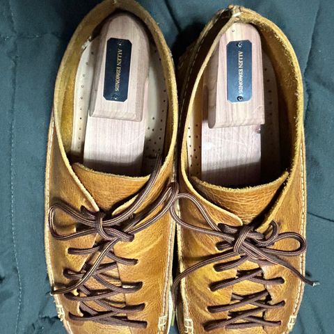 Yogi Footwear Finn 3 in Chestnut Brown