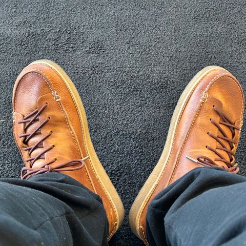 Yogi Footwear Finn 3 in Chestnut Brown