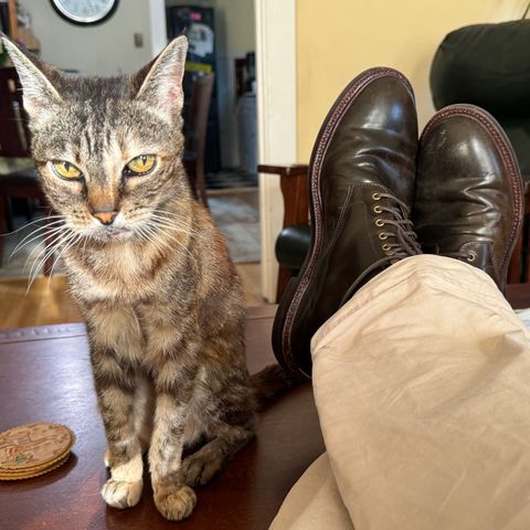 Grant Stone Edward Boot in Horween Maduro Shell Cordovan