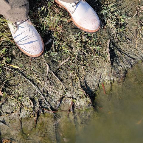Oak Street Bootmakers Trench Boot in Volpi Whitewash Overdye Abetone