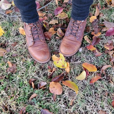 Red Wing Silversmith in S.B. Foot Copper Rough and Tough