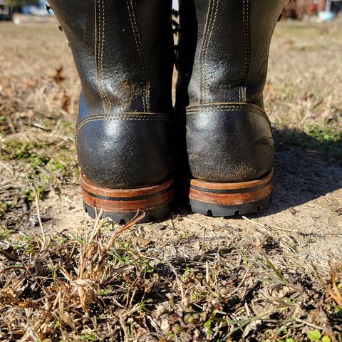 Truman Upland Boot in Horween Black Waxed Flesh