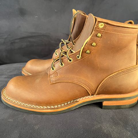 Nicks Falcon in Seidel 1964 Brown