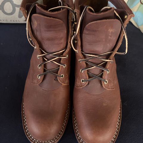Nicks Falcon in Seidel 1964 Brown