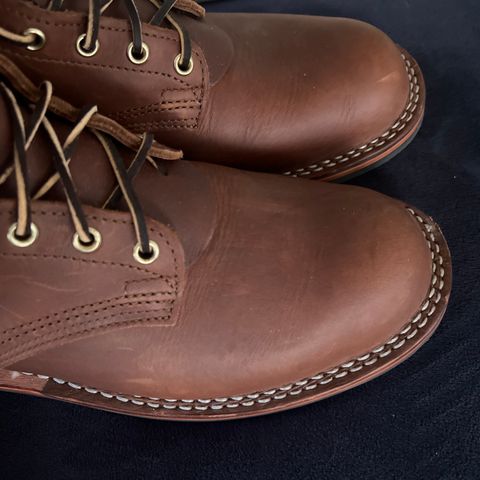 Nicks Falcon in Seidel 1964 Brown