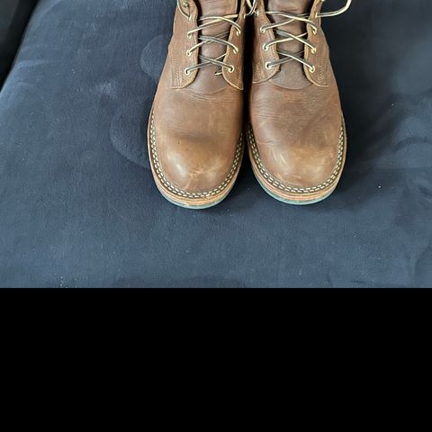 Nicks Falcon in Seidel 1964 Brown