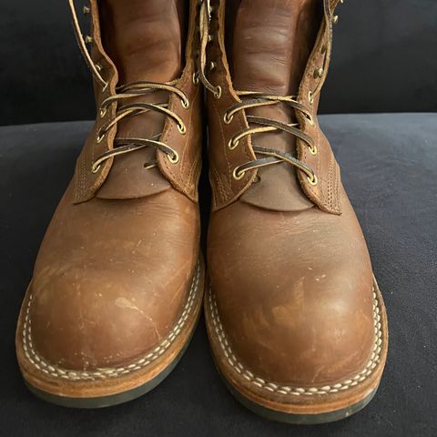 Nicks Falcon in Seidel 1964 Brown