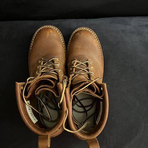 Nicks Falcon in Seidel 1964 Brown