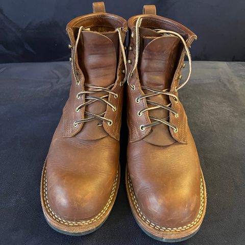 Nicks Falcon in Seidel 1964 Brown