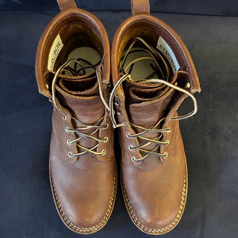 Nicks Falcon in Seidel 1964 Brown