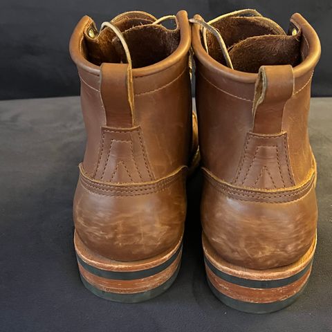 Nicks Falcon in Seidel 1964 Brown