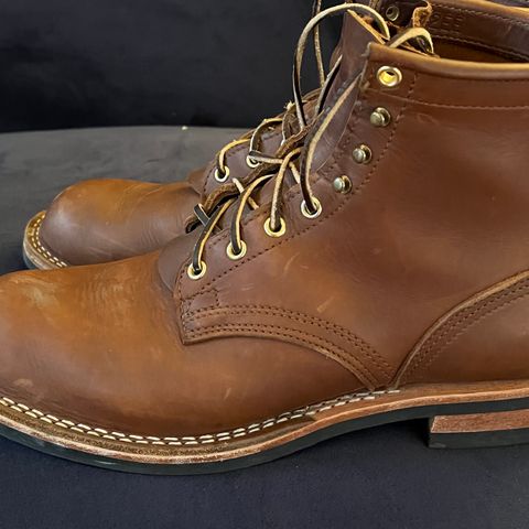 Nicks Falcon in Seidel 1964 Brown