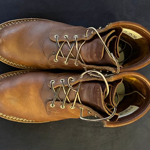 Nicks Falcon in Seidel 1964 Brown