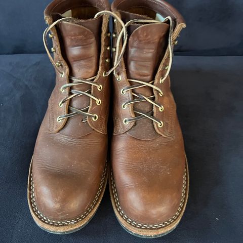 Nicks Falcon in Seidel 1964 Brown