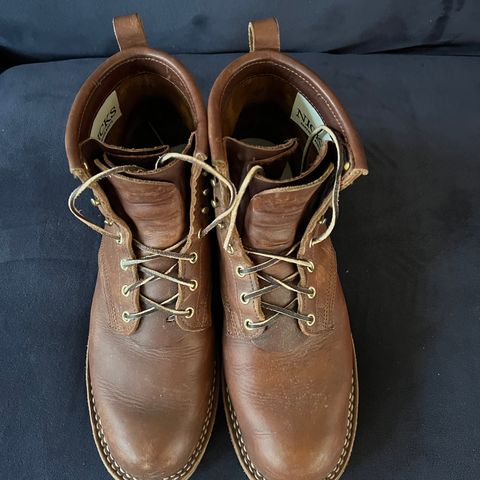 Nicks Falcon in Seidel 1964 Brown