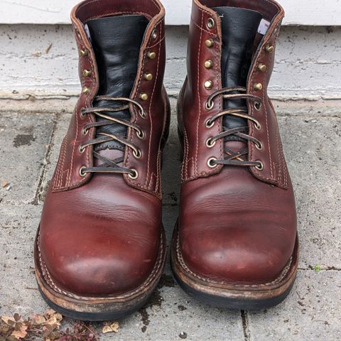 Drew's 6-Inch Contractor in Rogue Smooth
