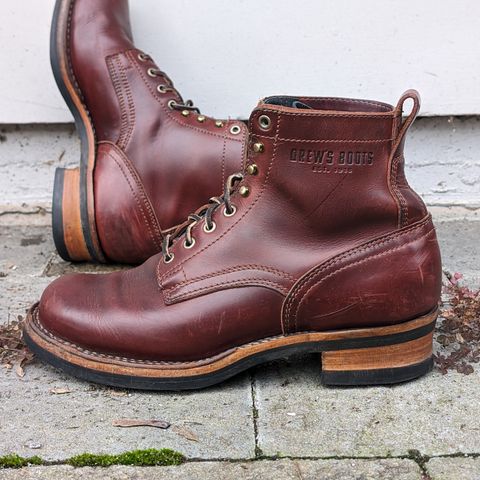 Drew's 6-Inch Contractor in Rogue Smooth
