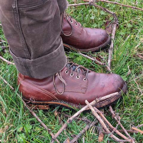 View photo of Drew's Boots 6-Inch Contractor in Rogue Smooth