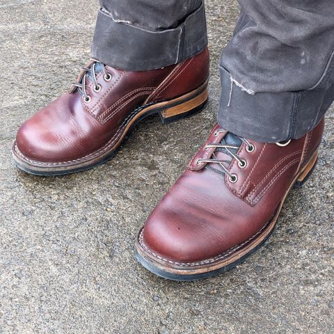 Drew's 6-Inch Contractor in Rogue Smooth
