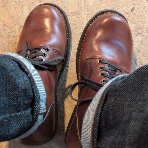 Thursday Brawler in Wickett & Craig Medium Brown Traditional Harness