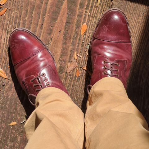 View photo of Meermin Jumper Boot in Burgundy Heritage Shell Cordovan