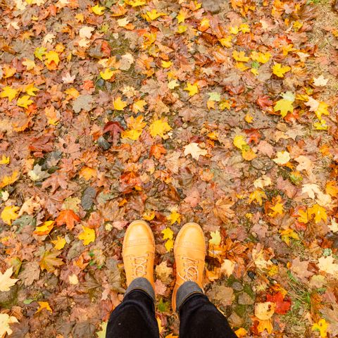 Wesco Hendrik in Horween Natural Essex