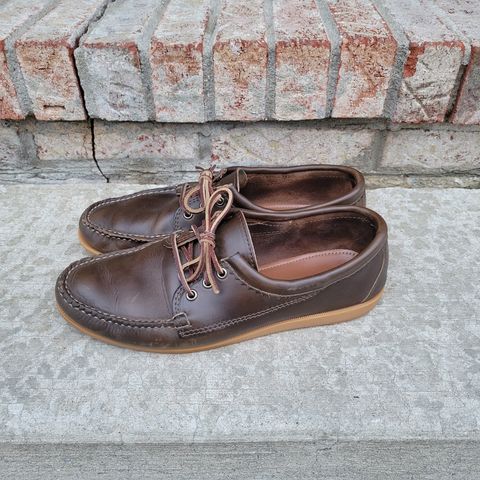 Quoddy Blucher in Horween Olive Chromexcel