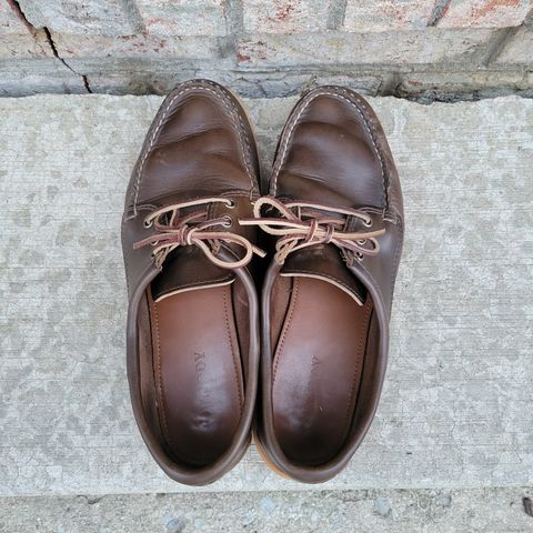 Quoddy Blucher in Horween Olive Chromexcel