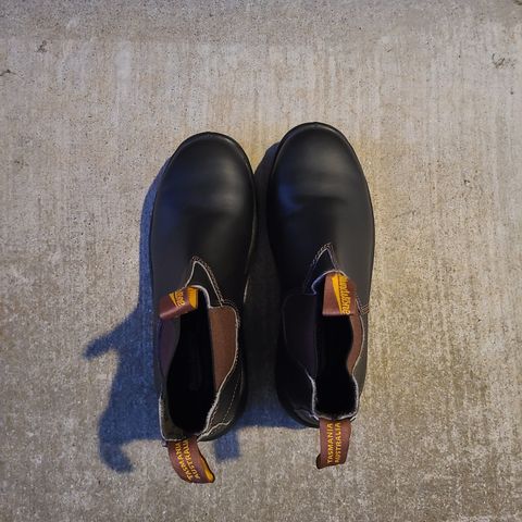Blundstone 172 in Stout Brown