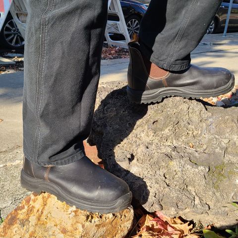 Blundstone 172 in Stout Brown